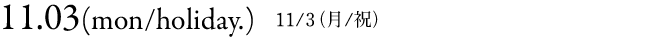 プログラム11/3